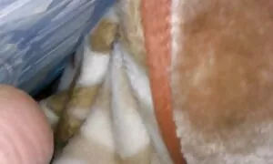 Šarmantne message porno hd noge spasile su se od otkaza