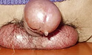 Krala chez massage porn s velikim mužnjama